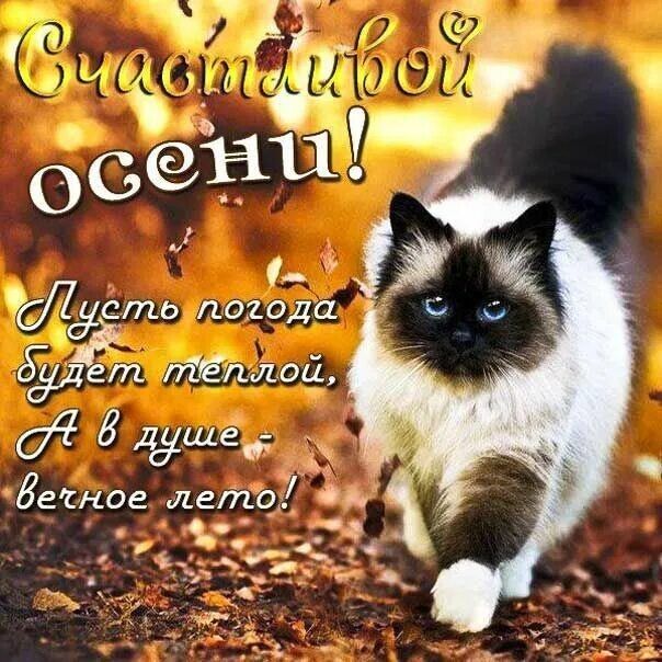 ое ЕТЛО д ДуЧбох ЁЕПО лели