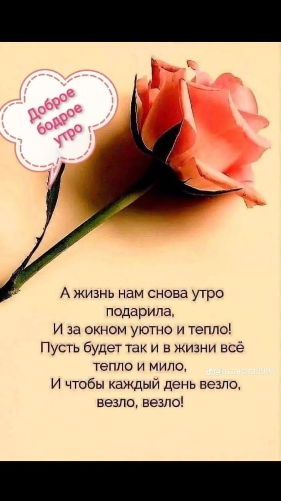 А жизнь нам снова утро подарила И за окном уютно и тепло Пусть будет так и в жизни всё тепло и мило И чтобы каждый день везло везло везло