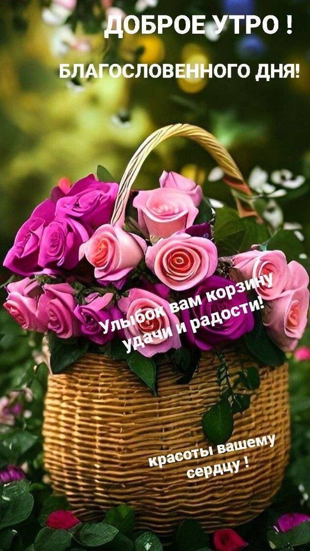 ДоБРОЕфТРО всловтого дНя