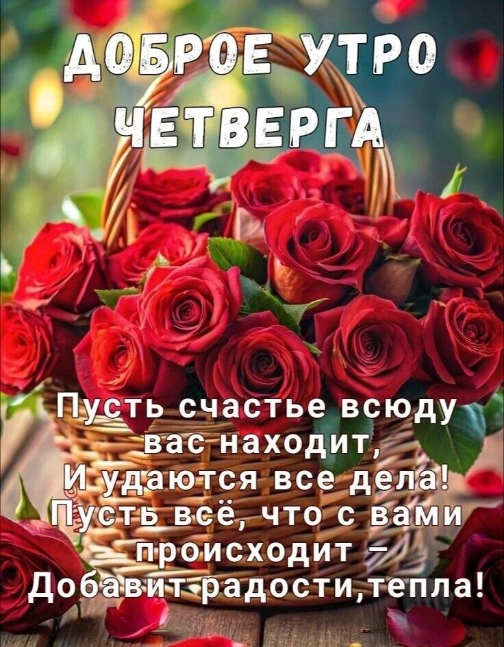 А0 Р Е УТРО у Пусть счастье всюду с вас находит Д и__каются все д щ ХПусть веё чтос вайй происходит 2 до ит радости тепла Г ъ