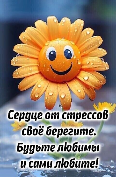 Серуце отстрессоВ й Р сВое берегите Будьыте ліобшлы Ч сими ліобите