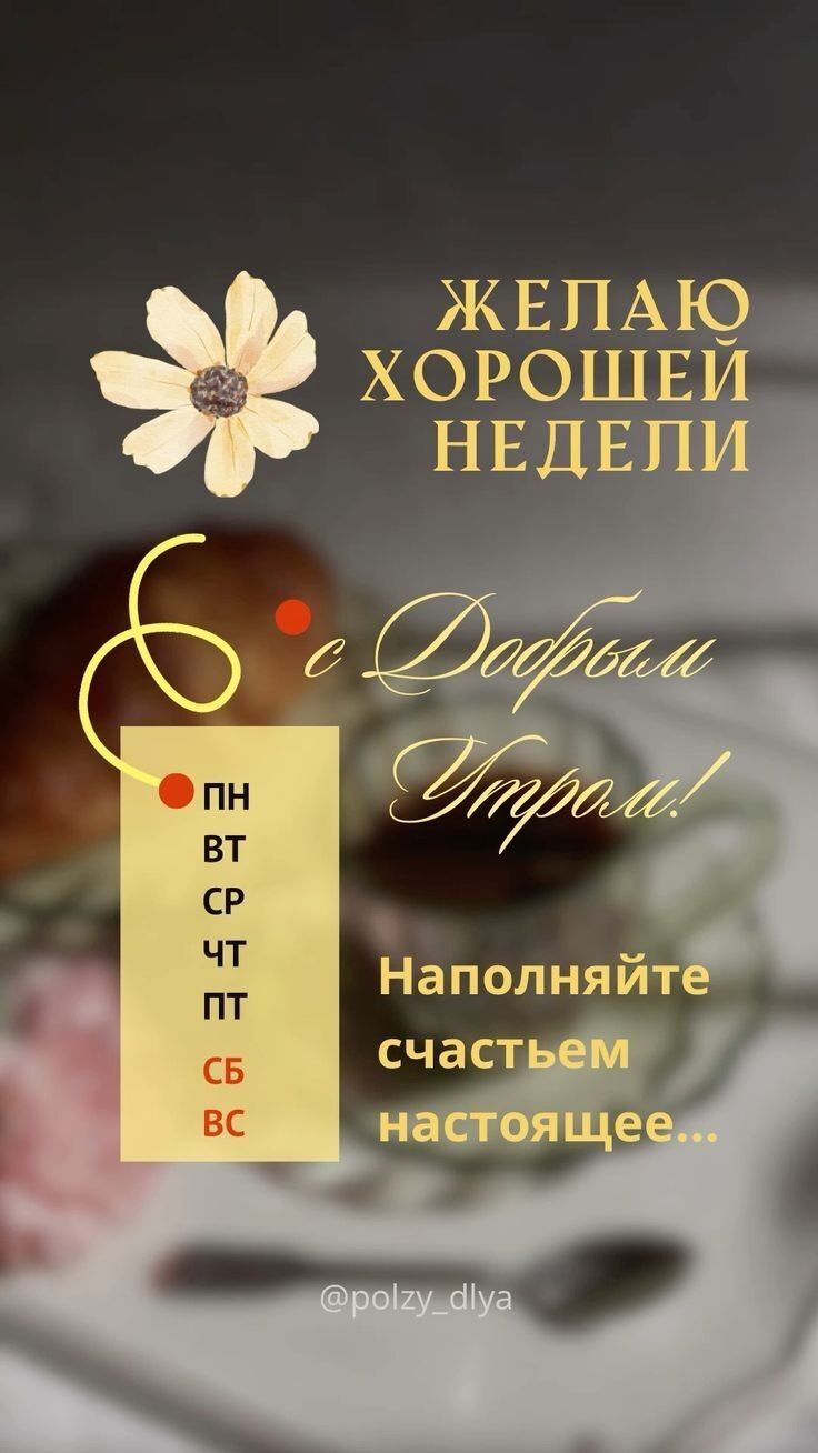 ЖЕЛАЮ ХОРОШЕИ