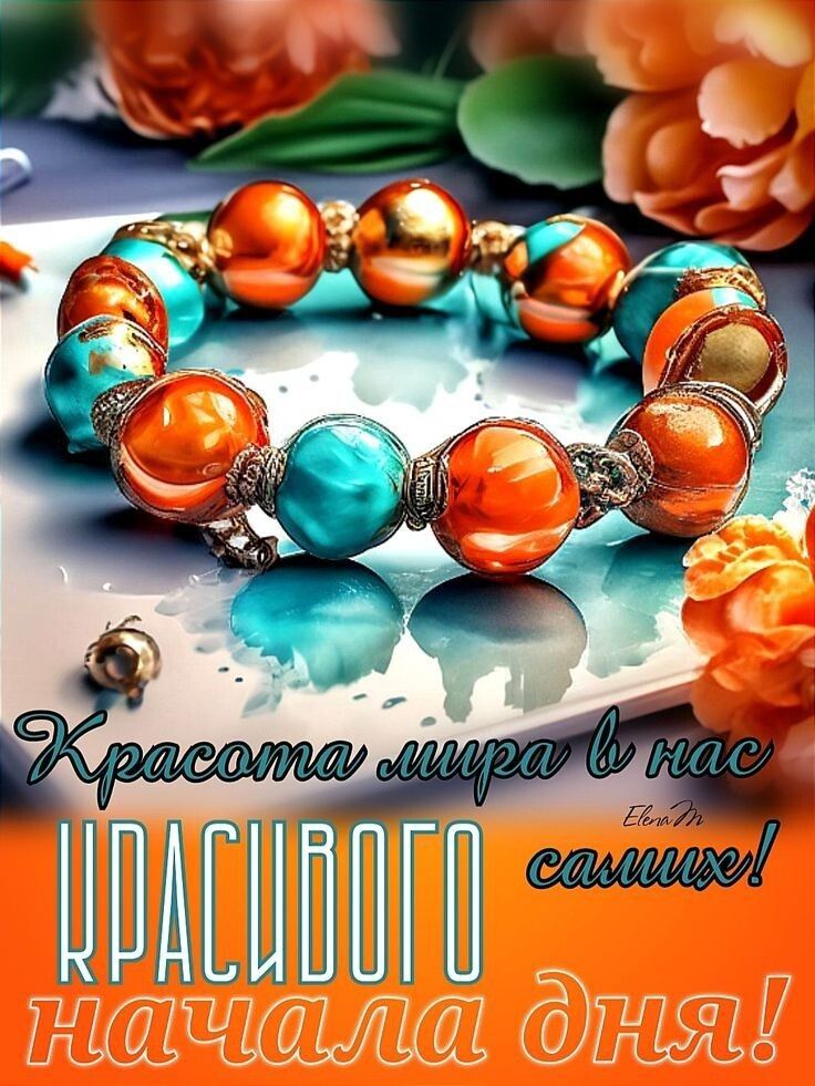 ИП впатолаплиа РАЙ