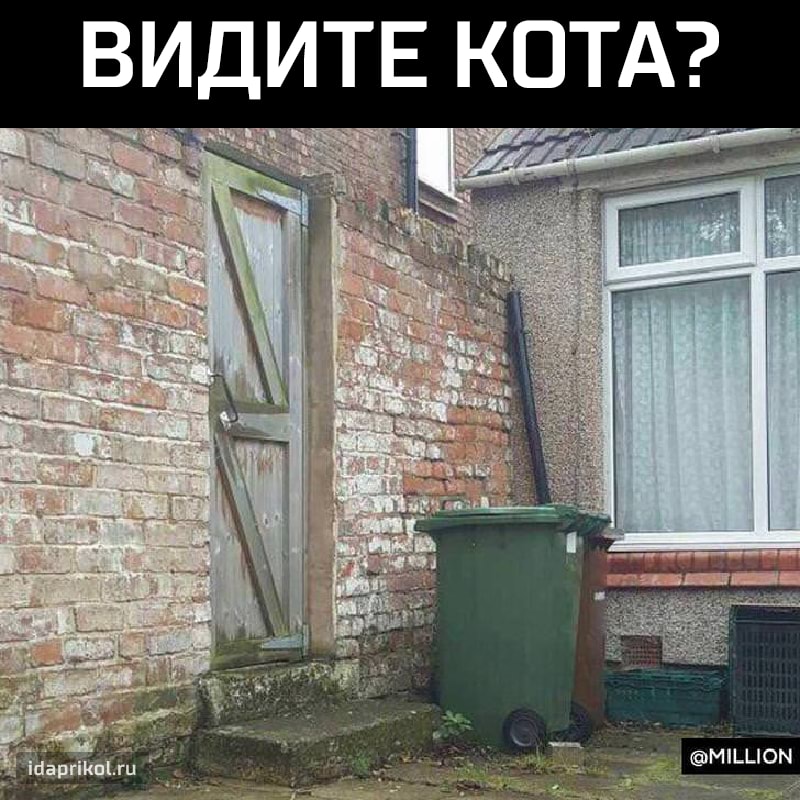 ВИДИТЕ КОТА