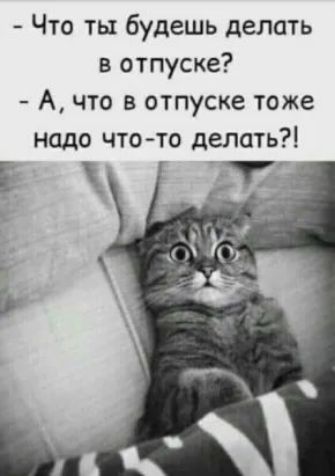 Что ты будешь делать в отпуске А что в отпуске тоже надо что то делать _ 7 Е