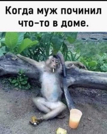 Когда МУЖ ПОЧИНИЛ ЧТО ТО В доме 4 чт _ д с 7 э г _