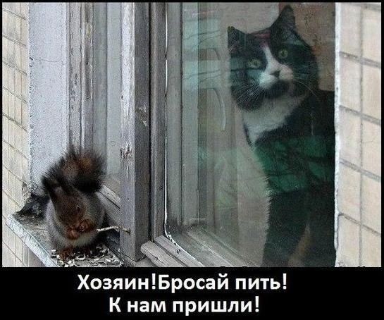 ХозяинБросай пить К нам пришли
