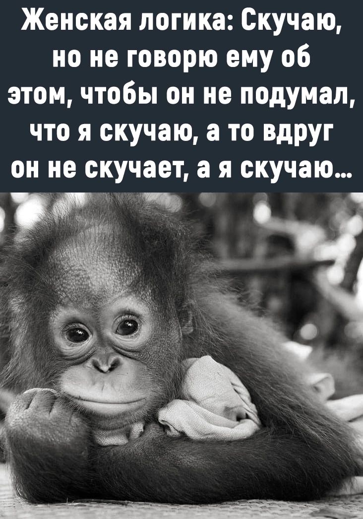 Женская логика Скучаю но не говорю ему об этом чтобы он не подумал что я скучаю а то вдруг он не скучает а я скучаю
