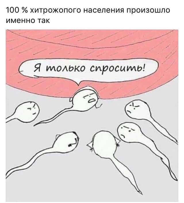 100 хитрожопого населения произошло именно так Я томжо спроси то