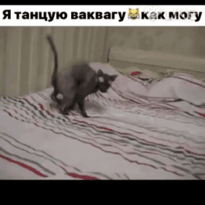 _ Я танцую ваквагу и А магу