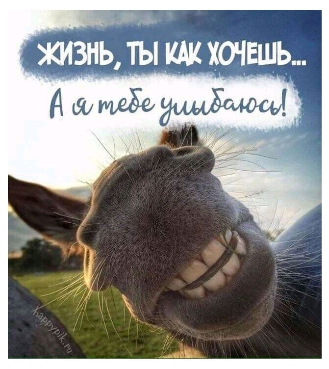 жизнь ты хочдшь
