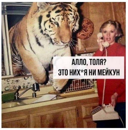 АллоЗоля 3 _ это нихя ни мвйкун 1