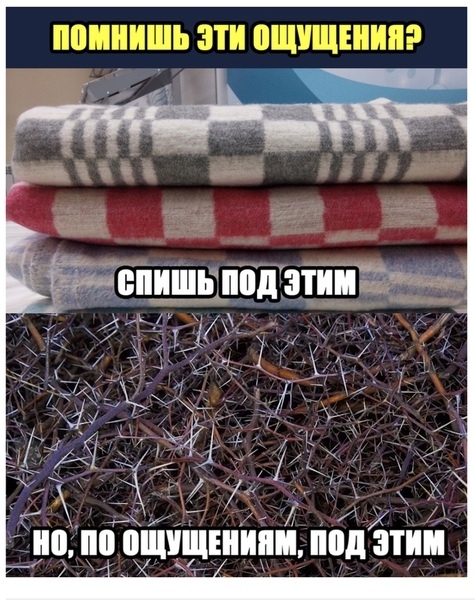 __ ВПИШЩППДУЗШМ _ 75551 1
