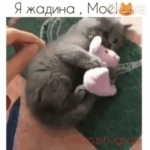 Я жодино Мос
