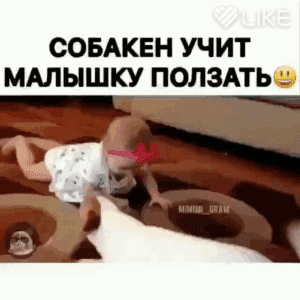 СОБАКЕН УЧИТ МАЛЫШКУ ПОЛЗАТЬЧ _