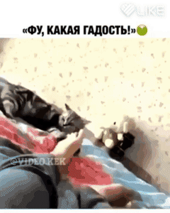 ФУ КА ГшосіЬЬ