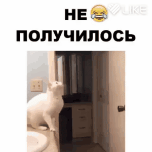 НЕ в ПОЛУЧИПОСЬ
