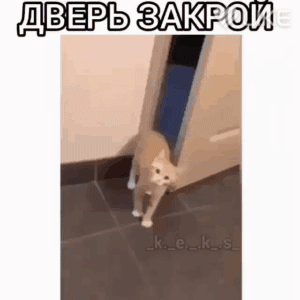 ДВЕРЬ 3АКРИ