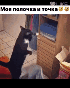 Моя поличка и точка в