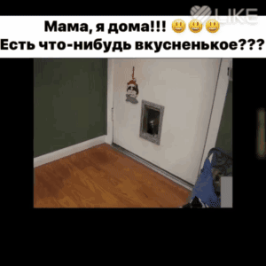 мама и дом вы Есть по иибудь вкусненькое