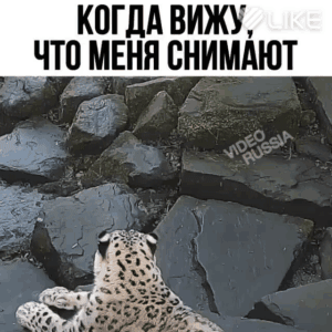 КПГДА ВИЖУ ЧТО МЕНЯ НИМАЮТ