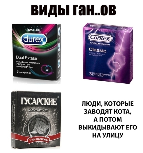 ВИДЫ ганов _ шегек Люди которые ЗАВОДЯТ КОТА А потом выкидывдют его НА улицу