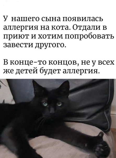 У нашего сына появилась аллергия на котат Отдали в приют и хотим попробовать завести другого В концето концов не у всех же детей будет аллергия