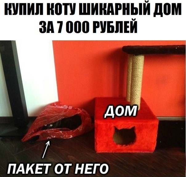 ШШШ ШШ ШИНАРНЫЙ дом ЗА 7 000 РУБПЕИ ПАКЕТ ОТ НЕГО