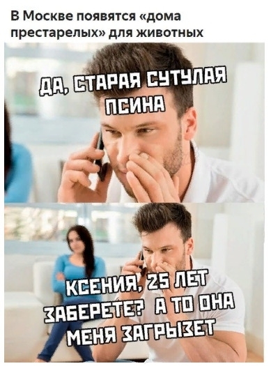 В Москве появятся дома престарелых для животных