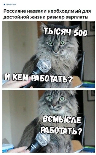 Рвссияие назвали непбхпдимый для двстойнпй жизни размер зарплат