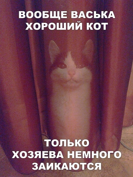 ВООБЩЕ ВАСЬКА ХОРОШИЙ КОТ ТОП ЬКО ХОЗЯЕВА НЕМНОГО ЗАИКАЮТСЯ
