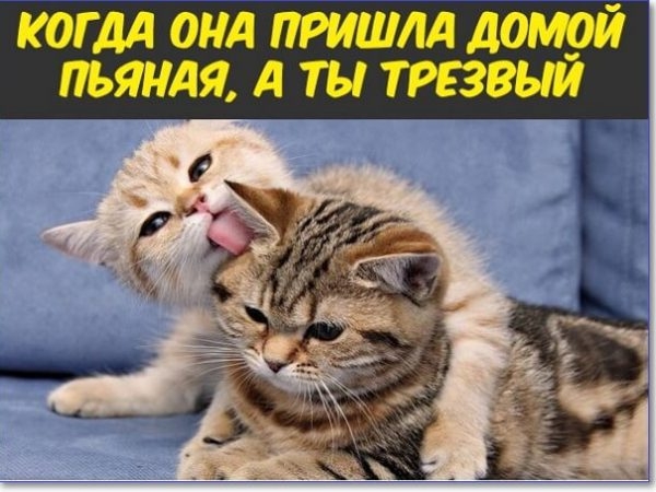 КОГДА ОНД ПРИШЛА ДОМОЙ ПЬЯНАЯ ТЫ ТРЕЗВЫЙ