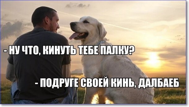 подтірвоіи ни дШБПЕБ 1 в