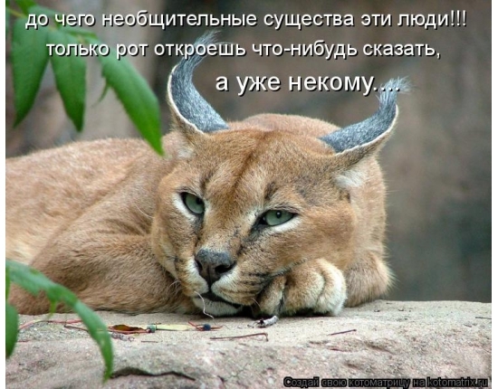 до чё щитепьные существа эти люди той рфшь чтонибудь сказать а УЖЕ НЭКОМУ