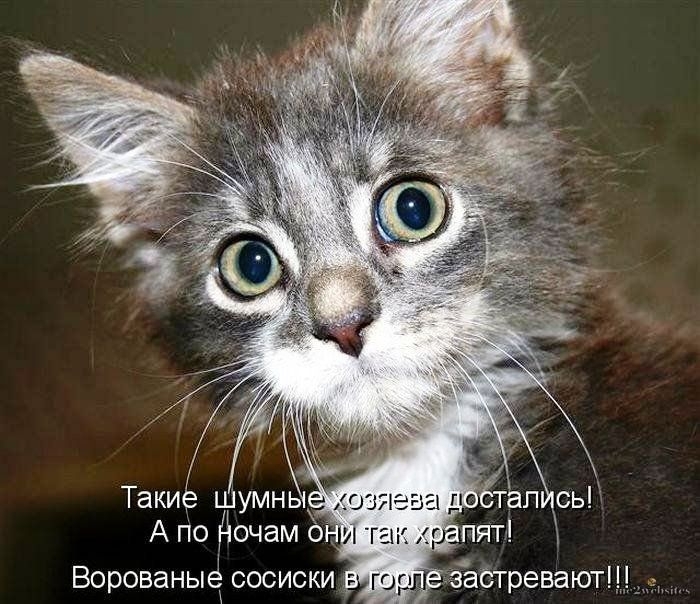 Ворованыё сосиски ППТЭЭСТКЭЕВЗЮТ