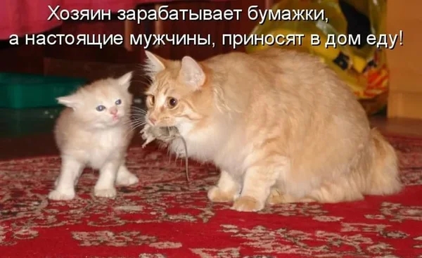 арабатывает буйажкуё