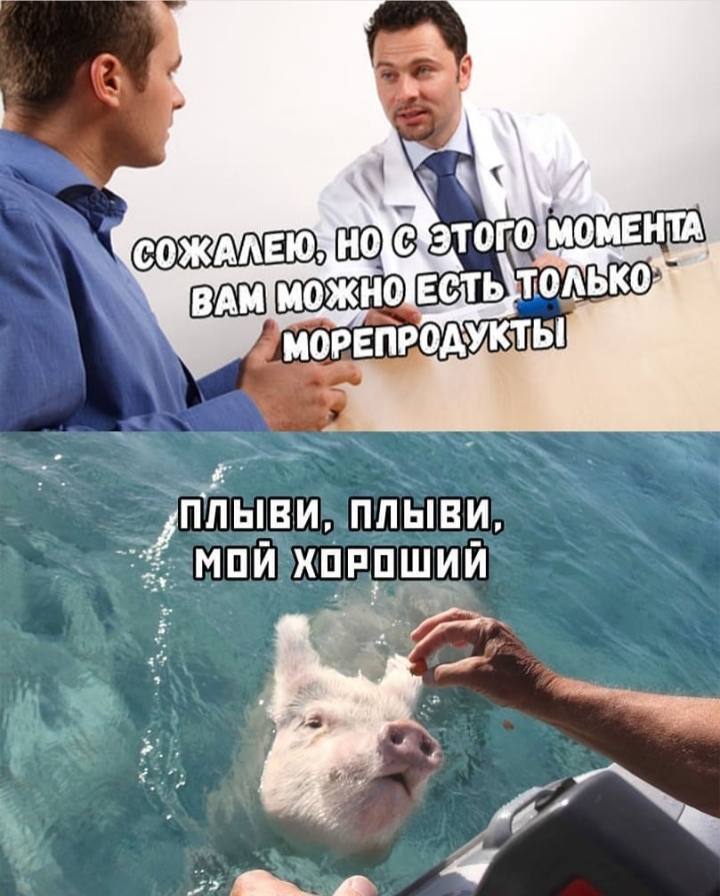 __ч ПЛЫВИ ПЛЫВИ МПИ ХПРПШИЙ