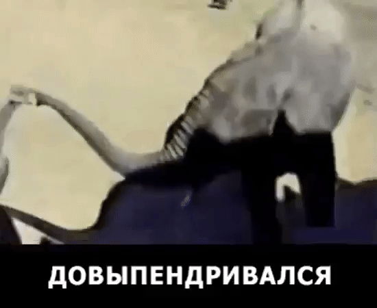 дОВЫПЕНдРИВАЛСЯ