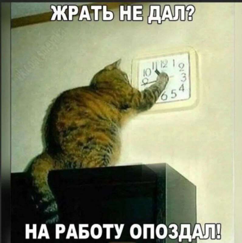 НА РАБОТУ ОПОЗдАЛ