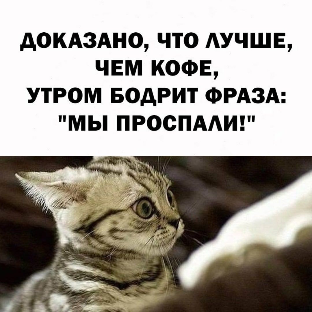 докдздно что лучше чем КОФЕ утром БОАРИТ ФРАЗА мы просим