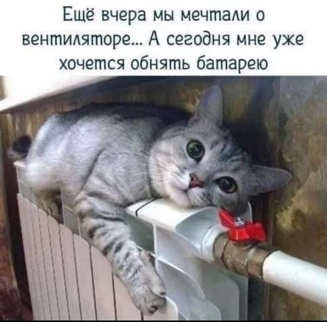 Ешё вчера мы мечта о зенитштора А сегодня мне уже хочется обнять батарею