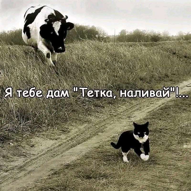 е й Я тебе дам Тетка налива