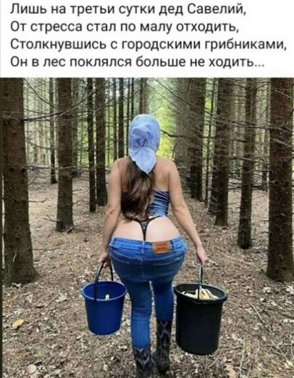 Лишь на третьи сутки дед Савелий От стресса стал по малу отходить Столкнувшись с городскими грибниками Он в лес поклялся больше не ходить