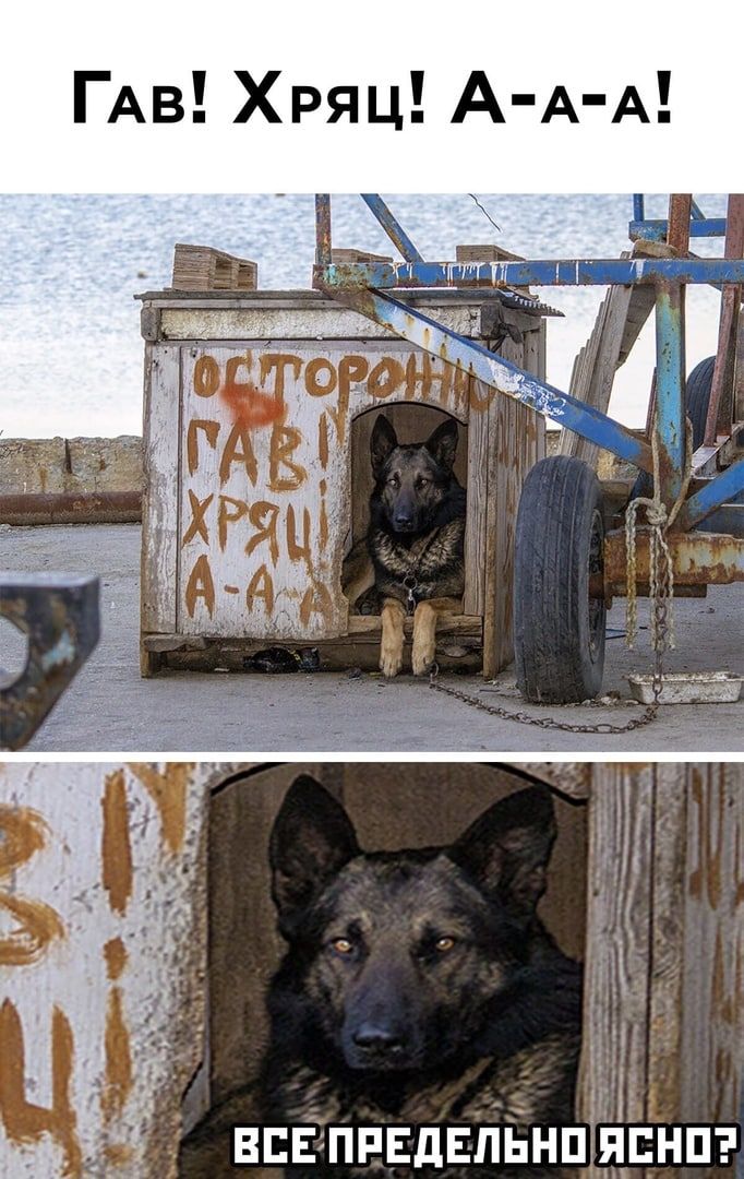 ГАв Хряц А А А ВПЕдПРЕдЕПЬНП ЯПНП