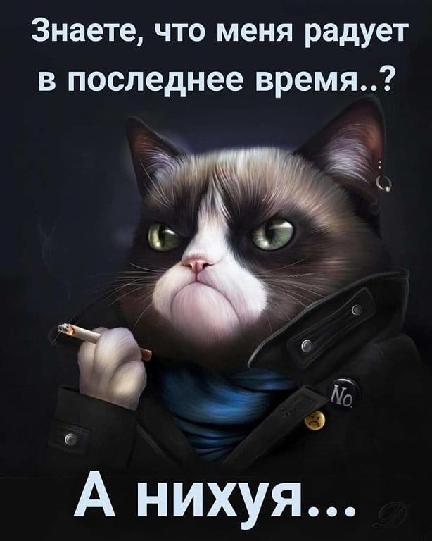 Знаете что меня радует в последнее время А нихуя