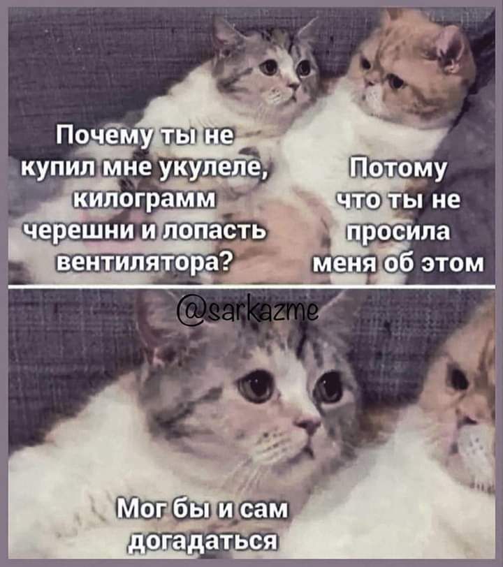 Почем курипмце