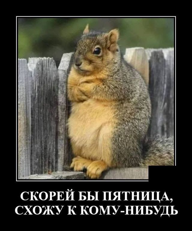 скогвй БЫ ПЯТНИЦА схожу к КОМУ НИБУДЬ