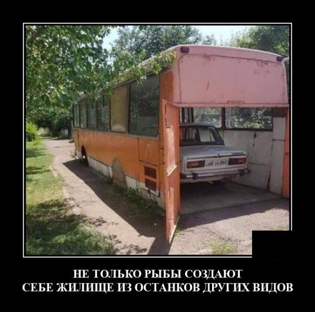 нЕ титьки РЫБЫ сошют СЕБЕ жилищв Ш ОСТАШОВ ДРУГИХ ВИДОВ