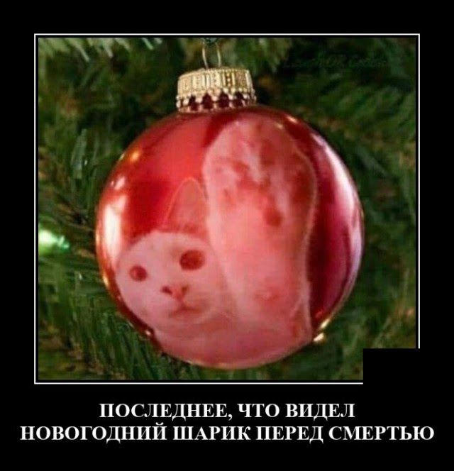 А 1 _ А ПОСЛЕДНЕЕ ЧТО ВИДЕЛ НОВОГОДНИЙ ШАРИК ПЕРЕД СМЕРТЬЮ