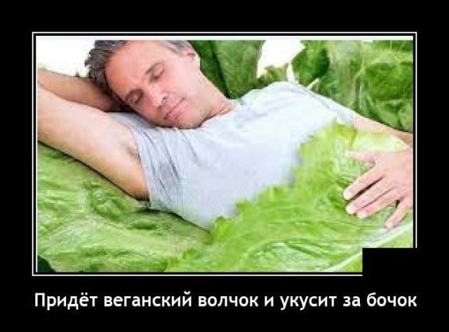 Придёт веганский волчок и укусит за бочак